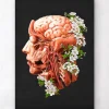 Codex Anatomicus Head & Face | Brain Anatomy^Head, Brain and Arteries anatomy - Floral - Black