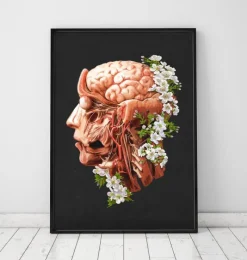 Codex Anatomicus Head & Face | Brain Anatomy^Head, Brain and Arteries anatomy - Floral - Black
