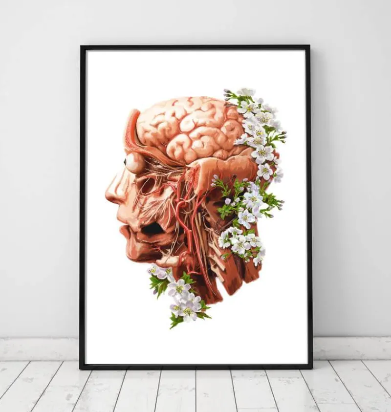 Codex Anatomicus Head & Face | Brain Anatomy^Head, Brain and Arteries anatomy - Floral - White