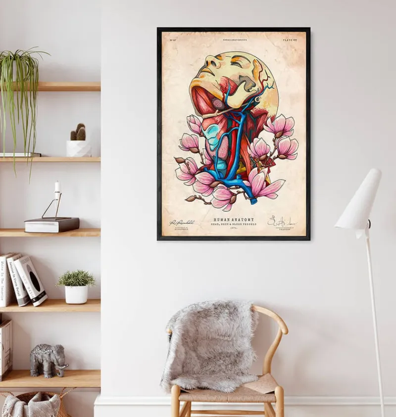 Codex Anatomicus Head & Face^Head, neck and arteries - Floral - Vintage