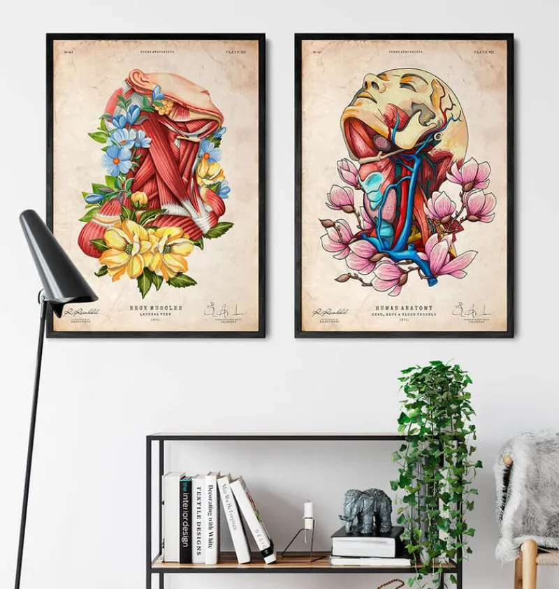 Codex Anatomicus Head & Face^Head, neck and arteries - Floral - Vintage