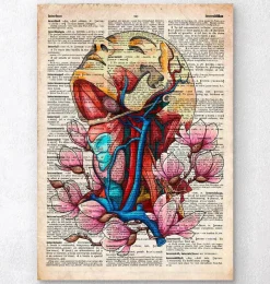 Codex Anatomicus Head & Face^Head, neck and arteries - Old dictionary page