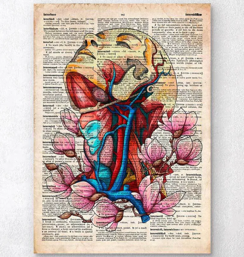 Codex Anatomicus Head & Face^Head, neck and arteries - Old dictionary page