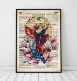 Codex Anatomicus Head & Face^Head, neck and arteries - Old dictionary page