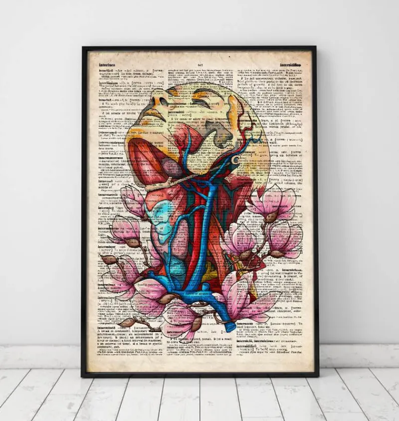 Codex Anatomicus Head & Face^Head, neck and arteries - Old dictionary page