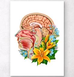 Codex Anatomicus Head & Face^Head section anatomy - Floral - White