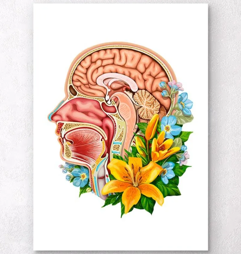 Codex Anatomicus Head & Face^Head section anatomy - Floral - White