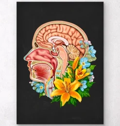 Codex Anatomicus Head & Face^Head section anatomy - Floral - Black