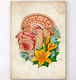 Codex Anatomicus Head & Face^Head section anatomy - Floral - Old paper