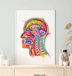 Codex Anatomicus Head & Face^Head section anatomy art - Watercolor splash