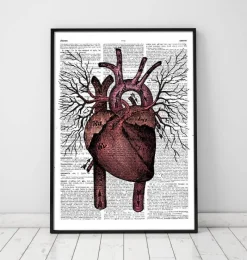 Codex Anatomicus Heart Anatomy^Heart anatomy - Dictionary page