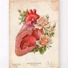 Codex Anatomicus Heart Anatomy^Heart anatomy - Floral - Vintage