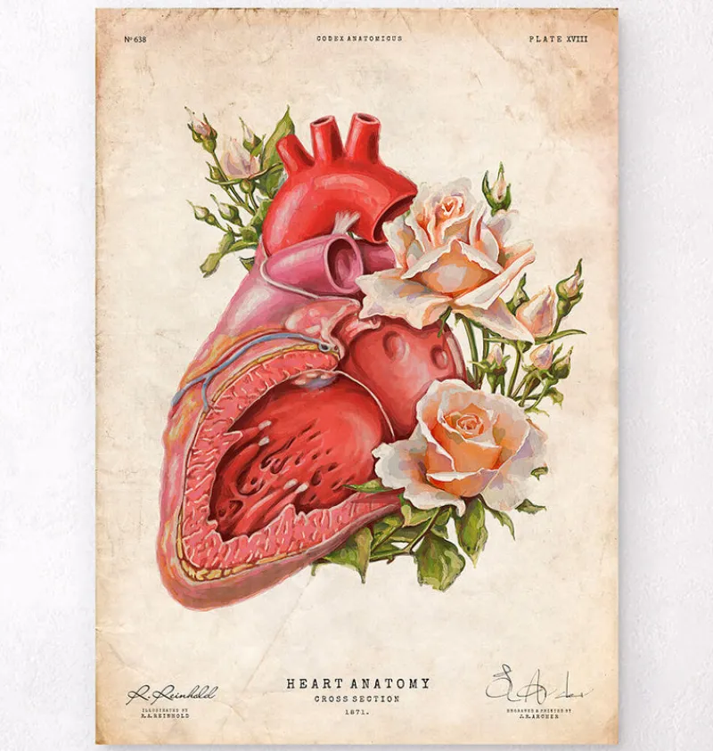 Codex Anatomicus Heart Anatomy^Heart anatomy - Floral - Vintage