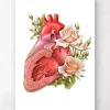 Codex Anatomicus Heart Anatomy^Heart anatomy - Floral - White