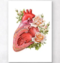 Codex Anatomicus Heart Anatomy^Heart anatomy - Floral - White
