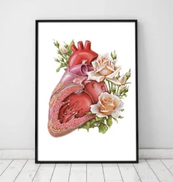 Codex Anatomicus Heart Anatomy^Heart anatomy - Floral - White