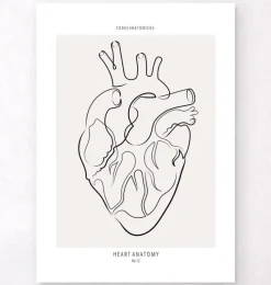 Codex Anatomicus Heart Anatomy^Heart anatomy - Line Art