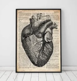 Codex Anatomicus Heart Anatomy^Heart anatomy - Old dictionary page