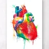 Codex Anatomicus Heart Anatomy^Heart anatomy art - Watercolor splash