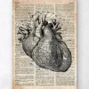 Codex Anatomicus Heart Anatomy^Heart anatomy art I - Old dictionary page