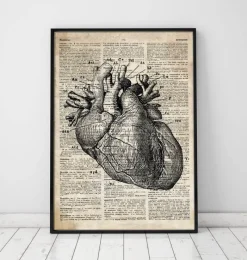 Codex Anatomicus Heart Anatomy^Heart anatomy art I - Old dictionary page