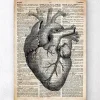 Codex Anatomicus Heart Anatomy^Heart anatomy art II - Old dictionary page