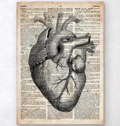 Codex Anatomicus Heart Anatomy^Heart anatomy art II - Old dictionary page