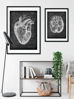 Codex Anatomicus Heart Anatomy^Heart anatomy I - Chalkboard