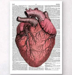Codex Anatomicus Heart Anatomy^Heart anatomy II - Dictionary page