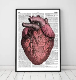 Codex Anatomicus Heart Anatomy^Heart anatomy II - Dictionary page