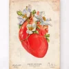 Codex Anatomicus Heart Anatomy^Heart anatomy II - Floral - Vintage