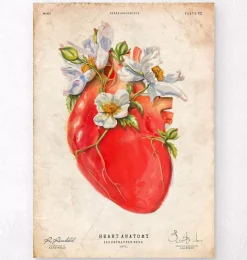 Codex Anatomicus Heart Anatomy^Heart anatomy II - Floral - Vintage