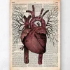 Codex Anatomicus Heart Anatomy^Heart anatomy II - Old dictionary page