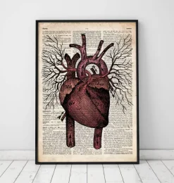 Codex Anatomicus Heart Anatomy^Heart anatomy II - Old dictionary page
