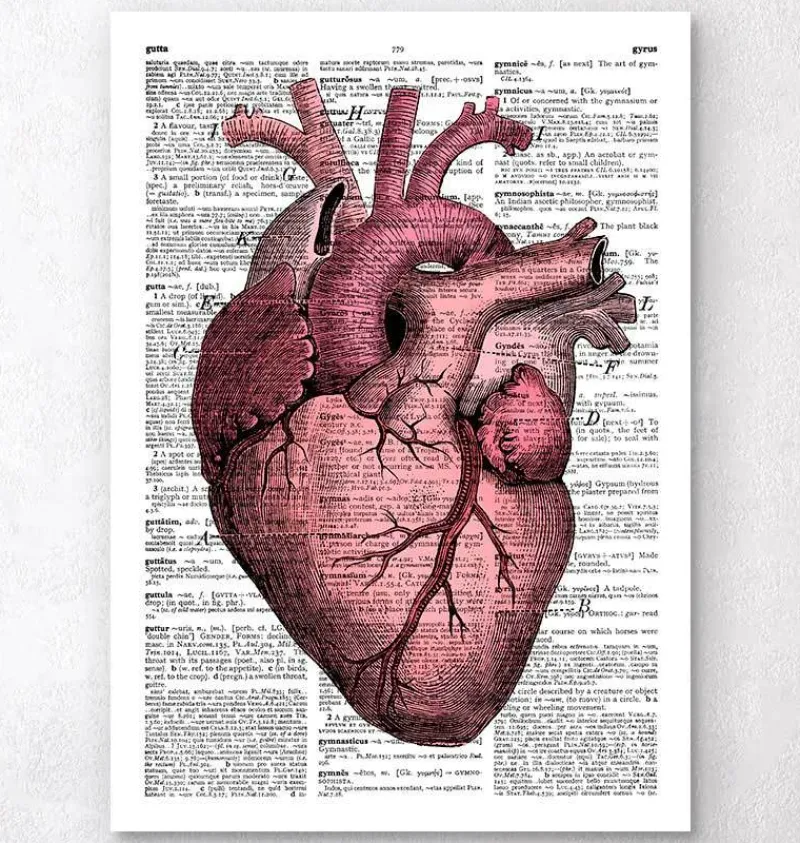 Codex Anatomicus Heart Anatomy^Heart anatomy III - Dictionary page