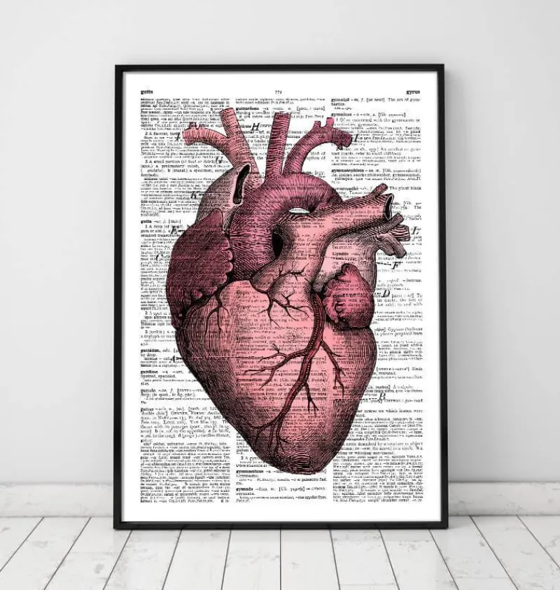 Codex Anatomicus Heart Anatomy^Heart anatomy III - Dictionary page
