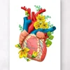 Codex Anatomicus Heart Anatomy^Heart anatomy III - Floral - White