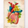 Codex Anatomicus Heart Anatomy^Heart anatomy III - Floral - Vintage