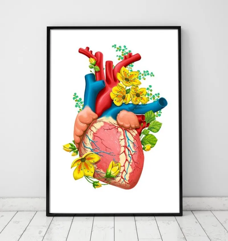 Codex Anatomicus Heart Anatomy^Heart anatomy III - Floral - White
