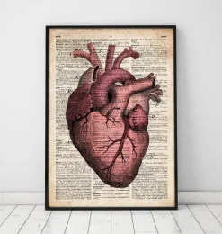 Codex Anatomicus Heart Anatomy^Heart anatomy III - Old dictionary page