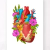 Codex Anatomicus Heart Anatomy^Heart anatomy IV - Floral - White