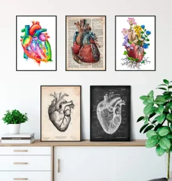 Codex Anatomicus Heart Anatomy^Heart Anatomy Mix - Set of 5