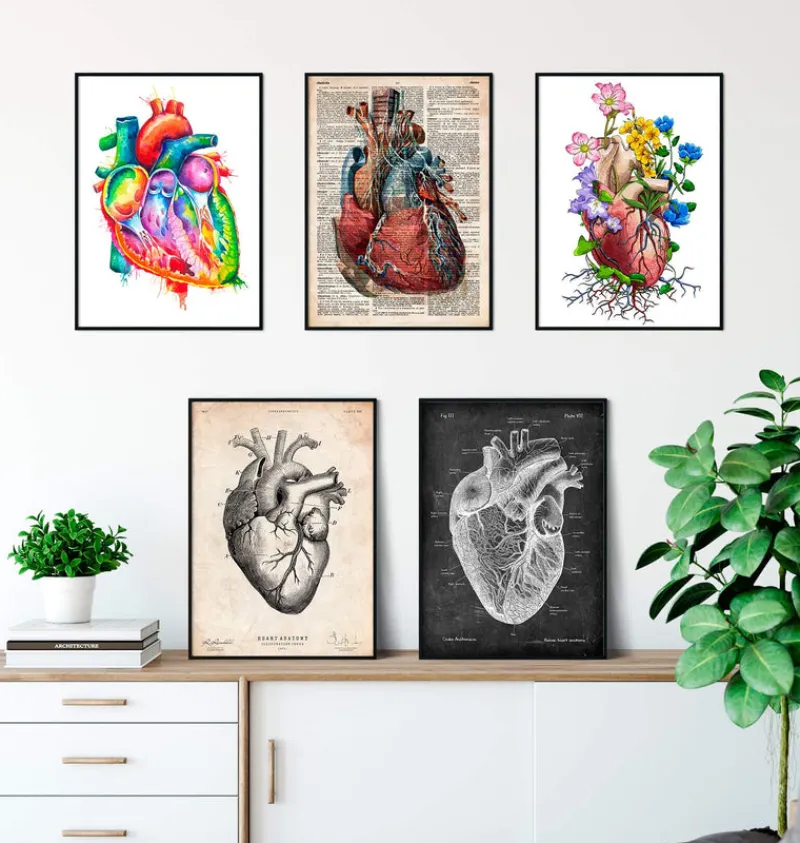 Codex Anatomicus Heart Anatomy^Heart Anatomy Mix - Set of 5