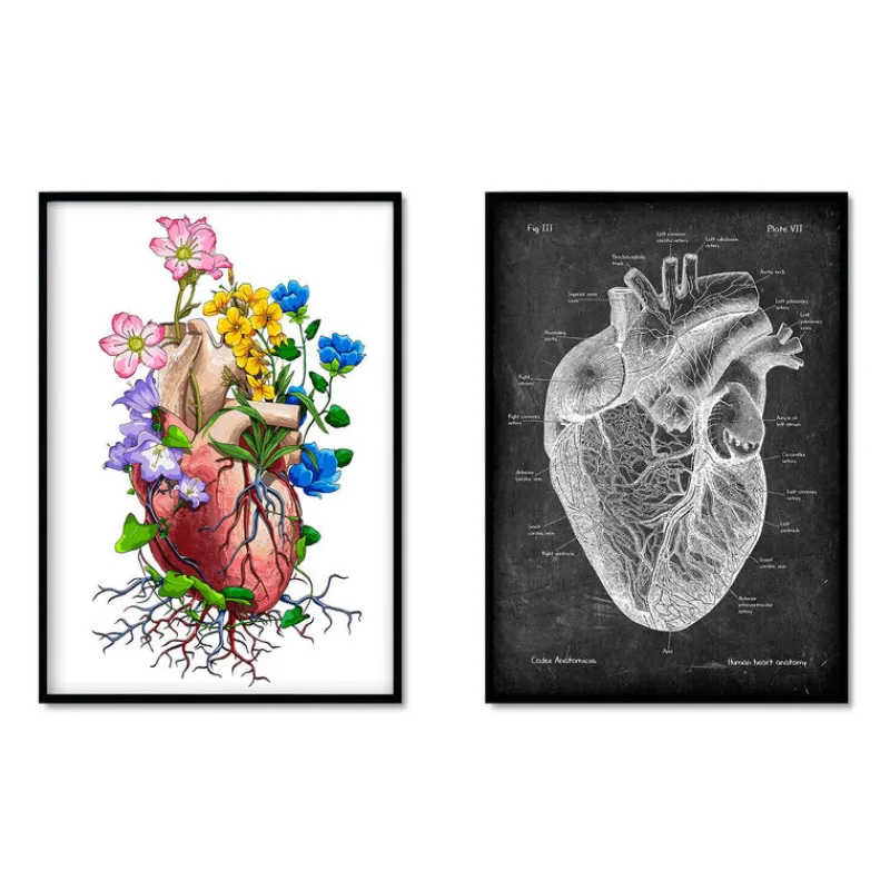 Codex Anatomicus Heart Anatomy^Heart Anatomy Mix - Set of 5