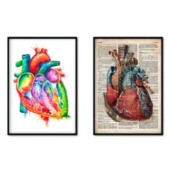 Codex Anatomicus Heart Anatomy^Heart Anatomy Mix - Set of 5