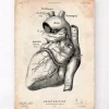 Codex Anatomicus Heart Anatomy^Heart anatomy poster