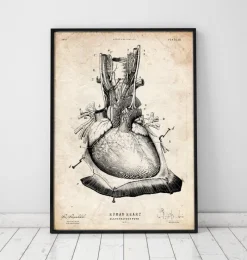 Codex Anatomicus Heart Anatomy^Heart anatomy print III