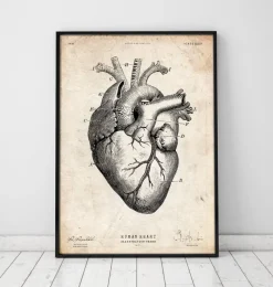 Codex Anatomicus Heart Anatomy^Heart anatomy print V