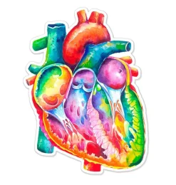 Codex Anatomicus Stickers^Heart anatomy sticker - Watercolor Splash