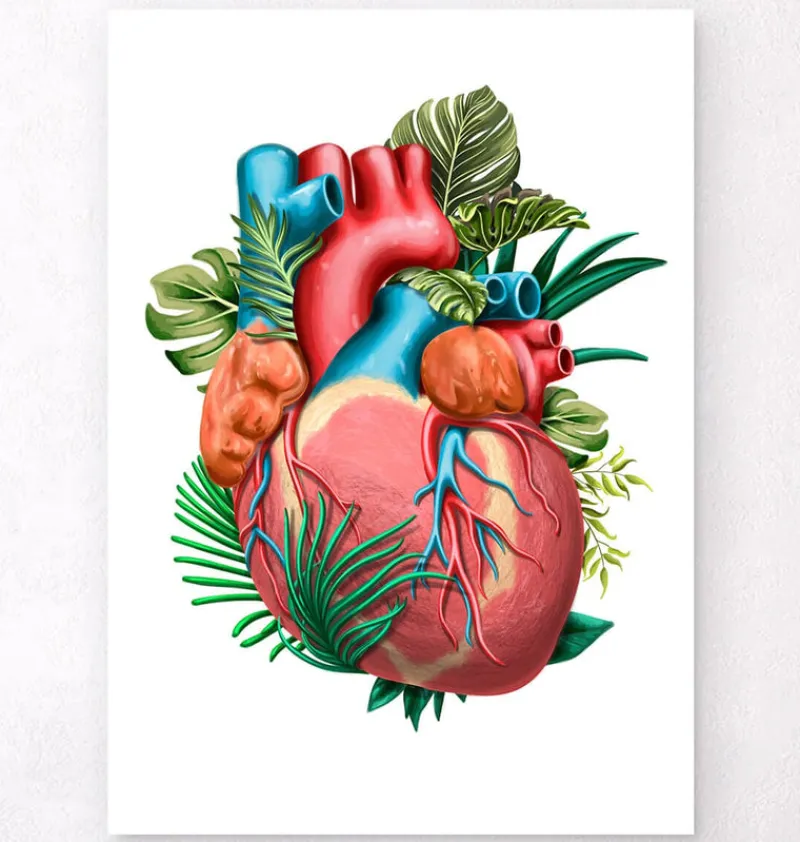 Codex Anatomicus Heart Anatomy^Heart anatomy V - Floral - White